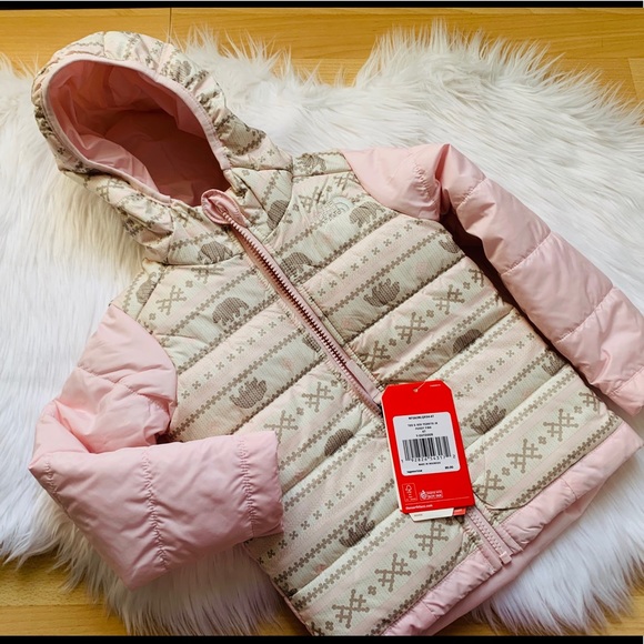The North Face Other - North Face 4T girls Jacket.